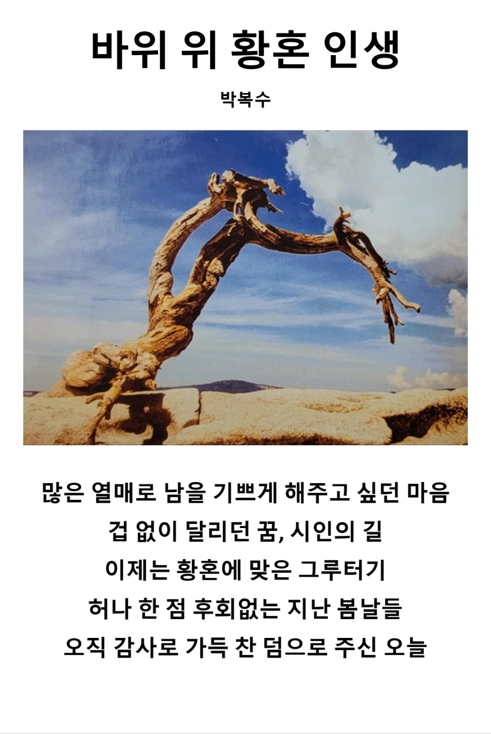 박복수-바위 위 황혼 인생.jpg