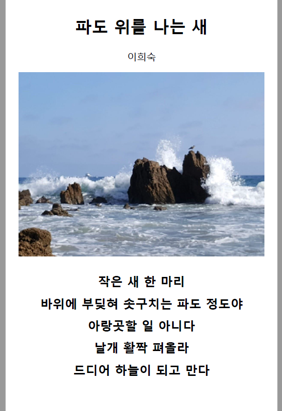 시 디카시.png
