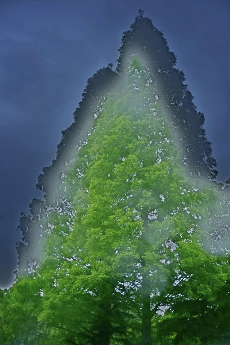 배경 - 길쭉산.jpg