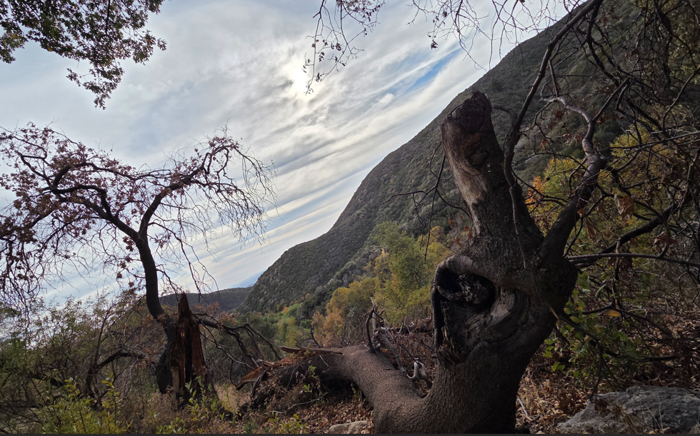 스크린샷 2025-12-12 113925.png