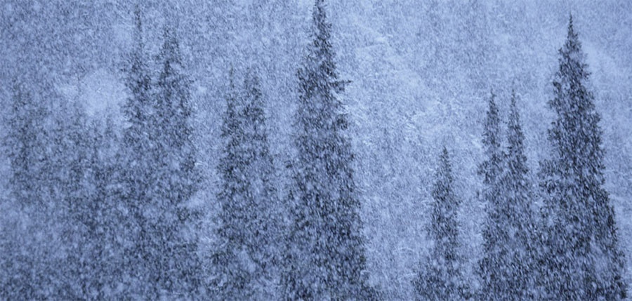 11117-Snow-900.jpg