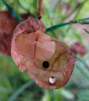 스크린샷 2026-02-02 054432.png