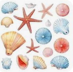 스크린샷 2026-03-02 000632.png