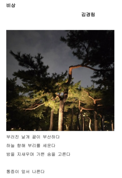 스크린샷 2026-01-15 115951.png