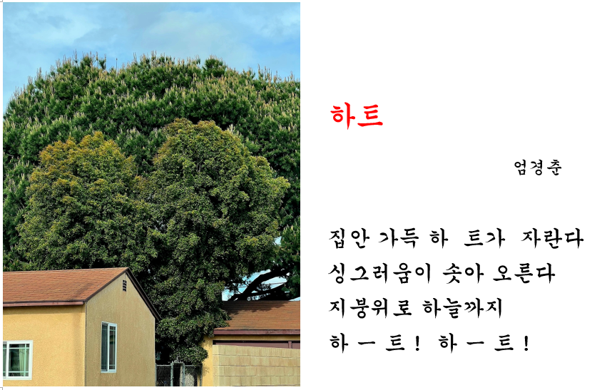 스크린샷 2024-09-15 141951.png