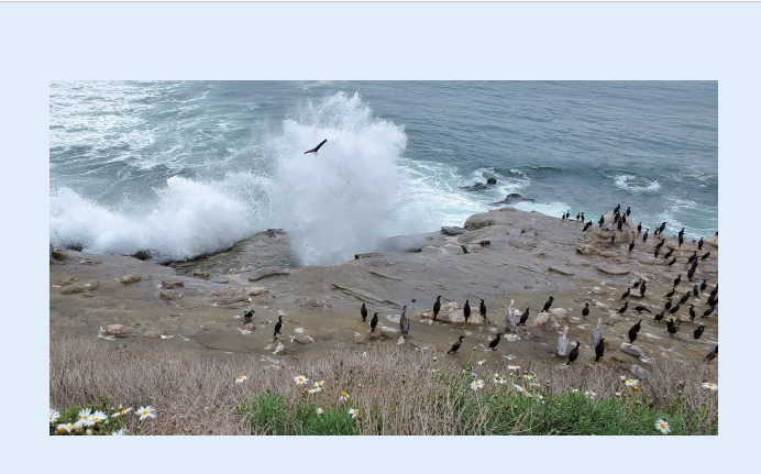 스크린샷 2025-10-21 091605.png