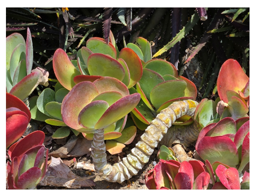 스크린샷 2025-09-03 085254.png