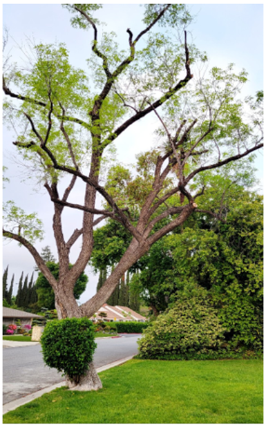 스크린샷 2025-05-15 121108.png